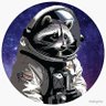 ✨Cosmic Raccoon✨'s profile picture