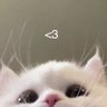 زیگول's profile picture
