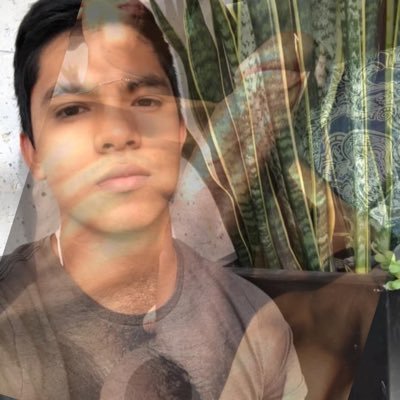 José's profile picture