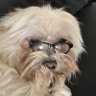 KapralX profil fotoğrafı