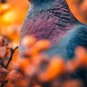 Фото профиля قادمون 2