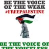 Amal Elzayyat's profile picture