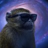 Monkey Man 的头像