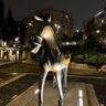 Profilbild von 万宝路