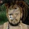 Фото профиля أبوعلي الأمين