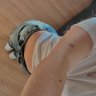 salsa de soja 的头像