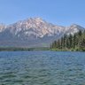 JD's profile picture