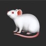 Mouse 的头像