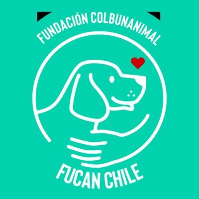 fucancl's profile picture