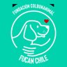 Santuariofucan profil fotoğrafı