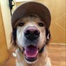 Diablin profil fotoğrafı