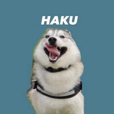 husky_0319's profile picture