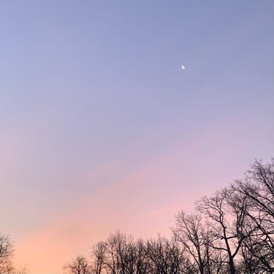 haloakukejora's profile picture