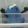 おせいせい's profile picture