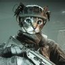CATTO 的头像