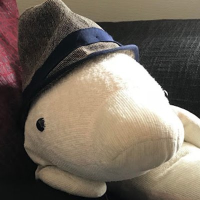 irukano_ecchan's profile picture