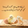 Фото профиля Javed Iqbal