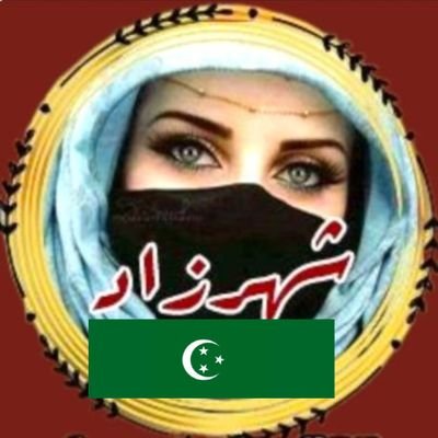 shahrzad_msr's profile picture