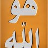 عبد الله يحيى عبد الله profil fotoğrafı