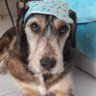 Remy's profile picture