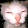 Pwiin's profile picture