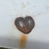 Фото профиля GrosPataPouf
