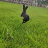 烦人's profile picture