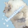 Profilbild von 菅史呉