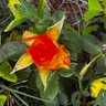Фото профиля Wilson Manganyi