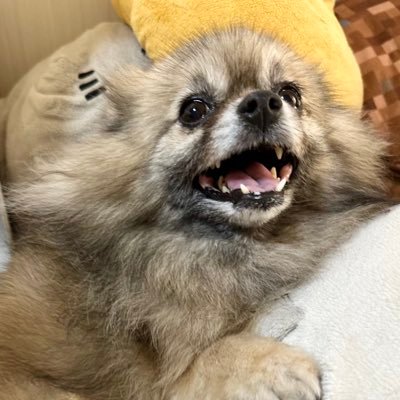 sayamama160's profile picture