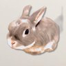 Profilbild von レイラの日課&ちびっこ達🐰
