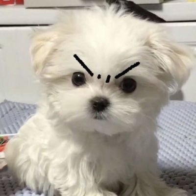 강땡모's profile picture