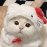 artit ⋆*。☼'s profile picture