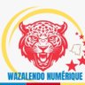 Profilbild von Wazalendo