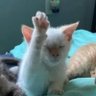 กูเองเพื่อน's profile picture