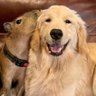 we_lingorm's profile picture