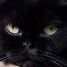 vivi_๋น๋น's profile picture