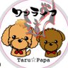 Profilbild von TARUPAPA🐶ワンライフ道