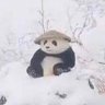 Shad0w's profile picture