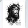 Somto Christian's profile picture