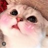 Baby 的头像