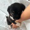 sam 的头像
