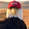 Фото профиля MAGA Patriot 🇺🇸