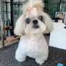 Фото профиля bobo..LuvZhanZhan