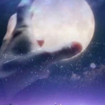 Booppay_pum's profile picture