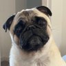 Sid's profile picture