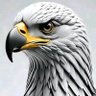 Anwar Hegazy's profile picture