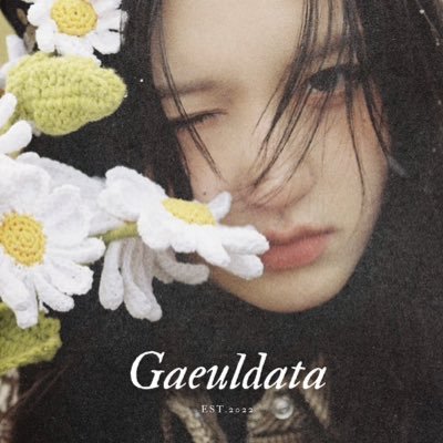 GAEULDATA's profile picture