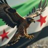 Profilbild von ⚔ سُوريا ✦ مِـنَ الْقَـاع ✦ لِـلْـقِـمَّـة ⚔