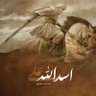 saiyad nazim husain zaidi babu makainic 的头像